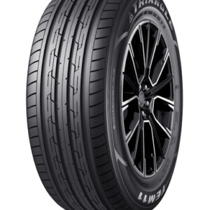 Triangle TE301
